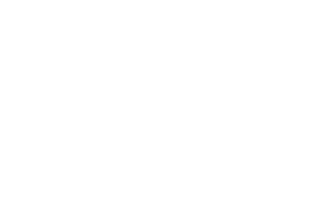 Sonydig Logo
